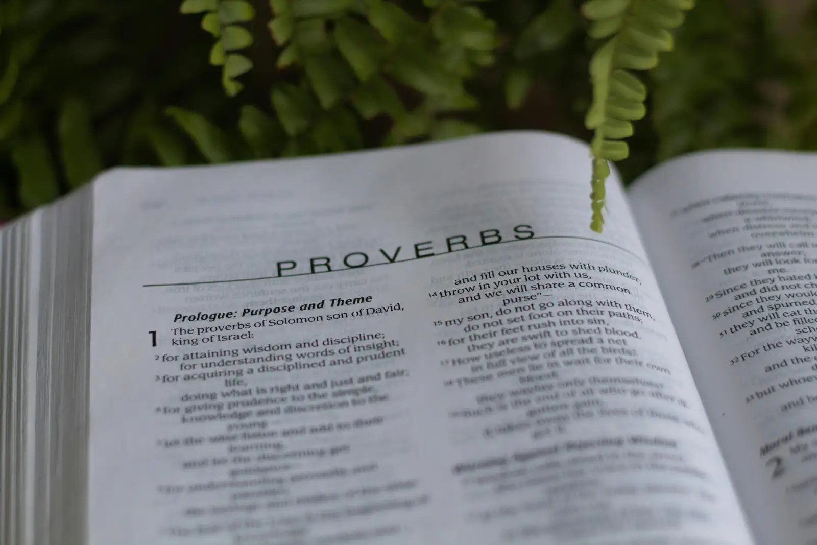 An open Bible