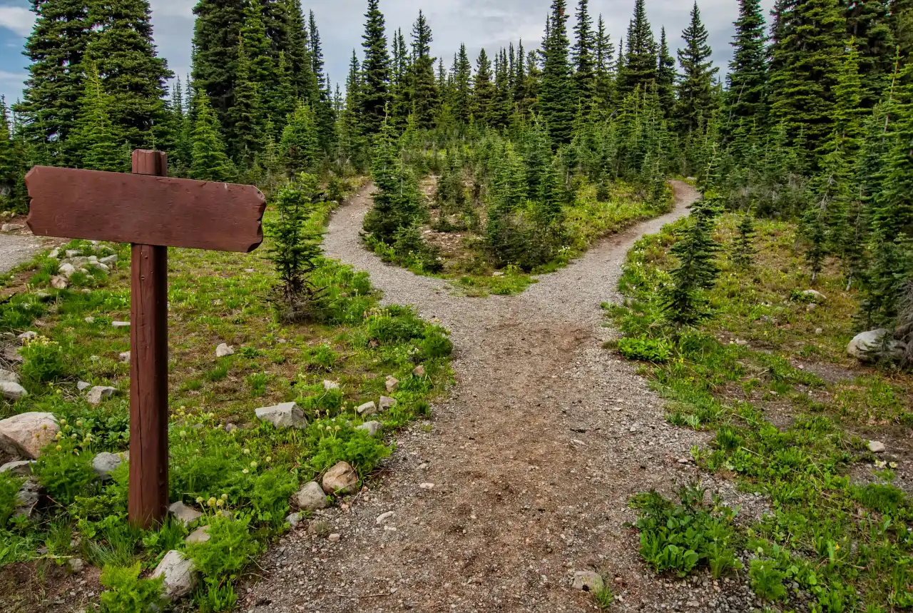 A trail sign where a forest path divides