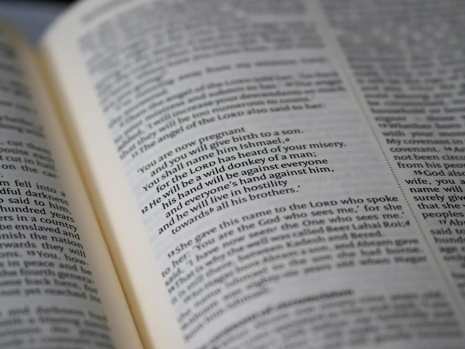 Pages of an open Bible